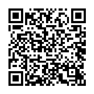 呃……我这里忙着要和陈家进行生死决战呢……二维码生成