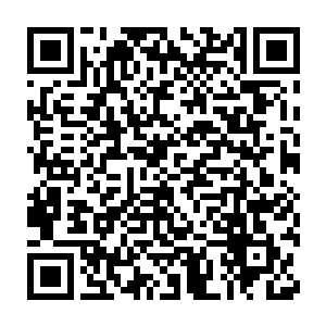 呃……这样的表情貌似不应该出现在一个晚辈弟子对尊主的身上吧二维码生成