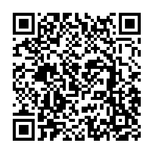 呆呆望着吴岩头顶的巨大火鸦兽灵和旁侧那狰狞的虎形傀儡机关兽二维码生成