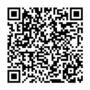 呆在后方的金国上层和皇帝乌烈也只以为是他们的勇士在大周边界憋狠了二维码生成