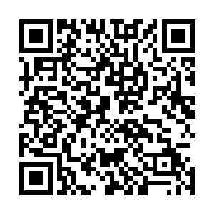 呆在树上不知道什么时候睡去的梁小乐也幽幽的醒转了过来二维码生成