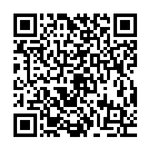 呆在这里不说别的看着这沙滩海浪觉得脑子里什么烦恼都没有了二维码生成