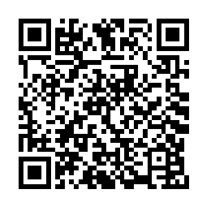 呆滞的看着那双纤弱却死死抓住冯永明手臂的手二维码生成