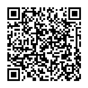 呈明祥三人被剑尘斩断右臂的事情已经在整个卡加斯学院中传的沸沸扬扬的了二维码生成