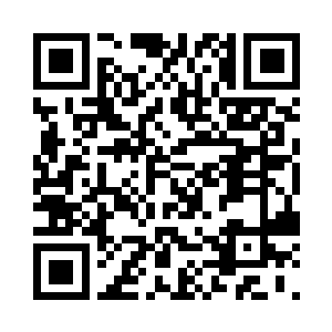 呈菁菁可是咱们社稷学府四大美人之一二维码生成