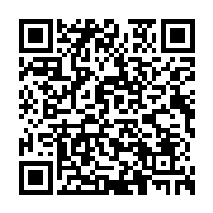 告诉他夏天对他们队伍里面的一个人手下留情了二维码生成