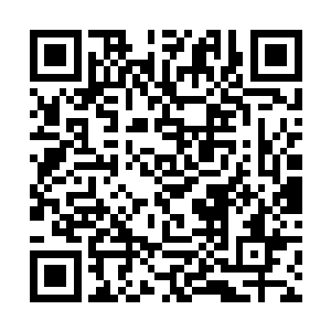 告诉你们你们对面这次面对的可是数千万的亡灵大军二维码生成
