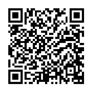 告诉佳佳她失去意识后发生的杀了人的后来者追来还欲杀她们二维码生成