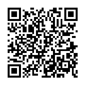 告诉她在视讯里查看天元学生守则和咏元市法规二维码生成