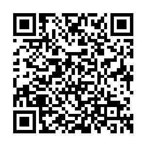 告诉我孙悟空已经把我是叛徒的消息带给了三清二维码生成