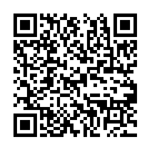 告诉我说他现在脑子里除了之前教习我的阵法之外二维码生成