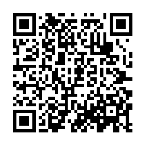 呜……嗷……呜……嗷……呜呜嗷嗷……呜呜嗷……二维码生成