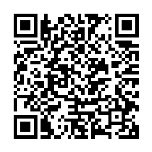 呜呜呜……我这棵绝世大白菜怎么那么倒霉遇上你这种大沙猪二维码生成