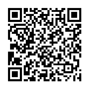 呜格兰副驾驶笑着出来到尾舱推出餐饮车临时充当乘务员二维码生成