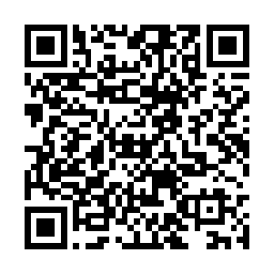 周主任仔细的看了一遍志远的行医证和中医医师证二维码生成