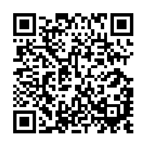 周伟生也顾不得品尝什么普通人扇玄学界修士耳光的快感了二维码生成