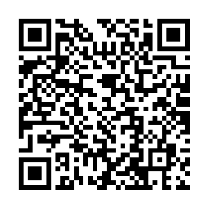 周允晟这才注意到那架低调奢华的黑金色流线型机甲二维码生成