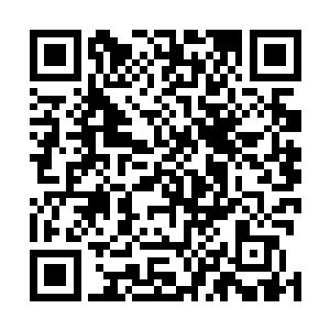 周其平毫无疑问就是几百年前越州和骆善阳勾搭成奸的人二维码生成