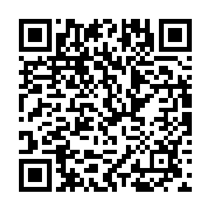 周典竟直接将他手上的那杆方天画戟朝自己丢了过来二维码生成