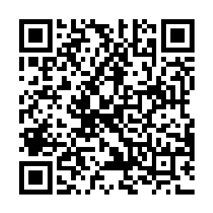周剥皮大圆球一样的身体上突然出现了密密麻麻的凹坑二维码生成