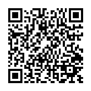 周围一对对年轻男女显然都是这个亮哥的跟班或者是狗腿二维码生成