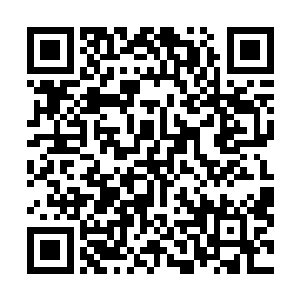 周围区域都已经被更加浓郁的灭世天火和创世神雷所封锁二维码生成