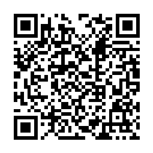 周围宋庆的几位心腹手下也都一脸渴望的看着张毅二维码生成