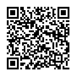 周围已经有一些被血腥味吸引过来的夜行兽类了二维码生成