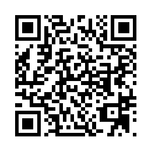 周围无数的木头仿佛化为了利刃一样二维码生成