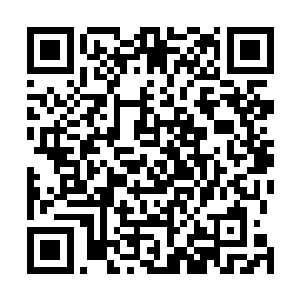 周围的三百六十五根光柱竟然也仿佛受到了什么牵引一般二维码生成