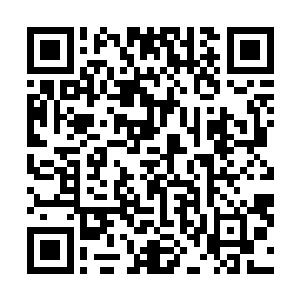 周围的人看到萧易和唐胖子这一胖一瘦的组合激烈的争吵二维码生成