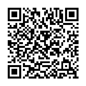 周围的傀儡也被龙傲天几个人一个又一个的击破二维码生成