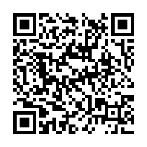 周围的傀儡宗弟子原本听到大长老还带着几分希望二维码生成