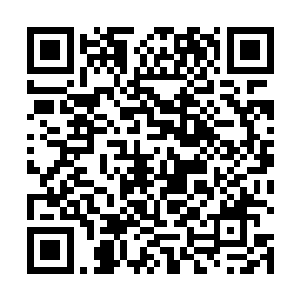 周围的十几个帐篷内也陆陆续续不断的有人从里面走出二维码生成