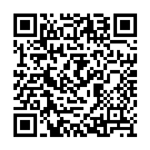 周围的天地灵气的波动自然也一下子暴露了出来二维码生成