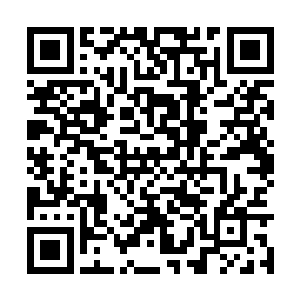 周围的工作人员不少人都把视线集中到了雨果身上二维码生成