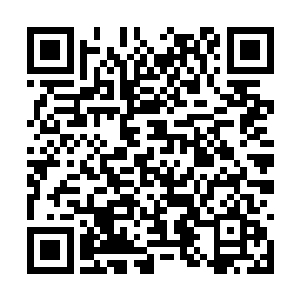 周围的弟子也会朝着中心地带蔓延尔后汇聚在一起二维码生成