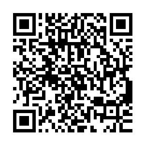 周围的恐怖的天地元气也是疯狂的朝着玄青青的身边汇集过来二维码生成