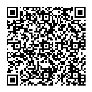 周围的恐怖的天地元气和虚空之中的周天星斗之力加上冰灵之气也开始疯狂的朝着阵图之中汇集而来二维码生成