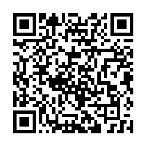 周围的气氛已经全被雅文和小秋之间的气场给改变了二维码生成