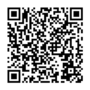 周围的符阵威能依旧一浪超过一浪地冲击着笼罩着许紫烟三人的绿色光罩二维码生成