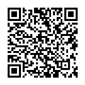 周围的绿营团练均是一股浓浓的绝望布满了全身二维码生成