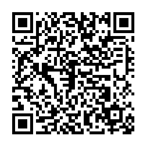周围的能量也宛若一条条长龙一般疯狂的朝着龙傲天的体内汇集着二维码生成