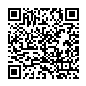 周围的血腥的味道让他既觉得头皮发毛又觉得全身血液沸腾二维码生成