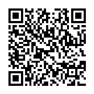 周围的血色的剑刃风暴瞬间直接轰到了彩色的光幕上面二维码生成