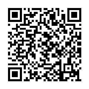 周围的这些人全都用羡慕和崇拜的目光看着枪罪二维码生成