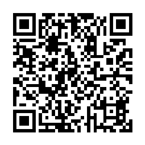 周围的那些人仿佛忘记了自己刚才在评判夏天是多么的弱二维码生成