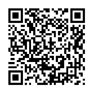 周围的那些人都看出来夏天和天妖万霖之间的差距了二维码生成