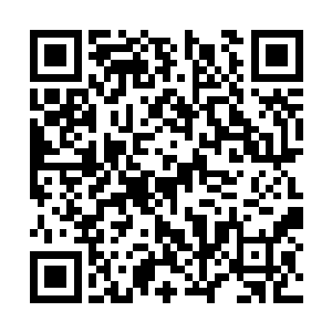 周围的那些在守护的锦鲤一族的人也开始欢呼起来二维码生成