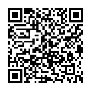 周围的那些妖兽也全都是在同一时间冲向了夏天二维码生成